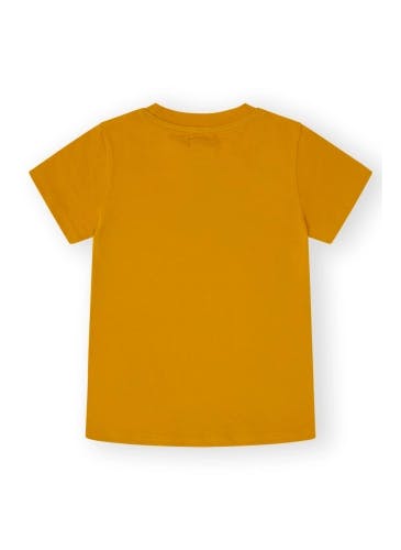 Lion print orange cotton t-shirt for boys