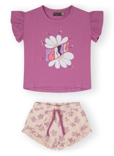 Comfortable summer set t-shirt and shorts for girls
